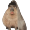 Capybara 2 10