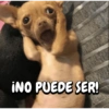 INO PUEDE SER!