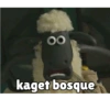 00
kaget bosque