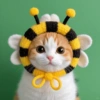 Gatos Cute 🤩😍 20
