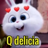 Para os apaixonados ❤️😻 12
