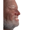 MEMES HAROLD THE PAIN 27