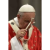 Papa Francisco🕊️ 20