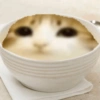 Meowl meme cat🐱✨ 18
