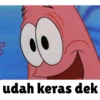 Petrik sokap ygy 13
