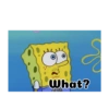 Spongebob Squarepants 14