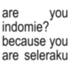 are indomie? you because you are seleraku