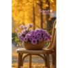 Good morning 25