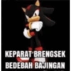 KEPARAT BRENGSEK BEDEBAH BAJINGAN