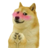 Doge Memes 🐶 11