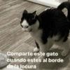💥Chat Meme Collection💎🔝 1 7
