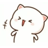 Kitten 5
