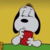 Stickers Snoopy sin contexto🐶 8