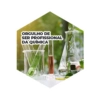 Figurinhas CFQ 2021 - Parte 2 24