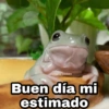 Buen día mi estimado