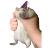 Memes Ricolinos 18