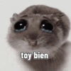toy bien