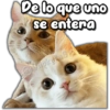 De lo que uno
se entera
Nickyvas