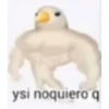El paquete pro 19