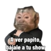 Changuitos pa' comentar 5