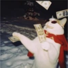 Cat 13