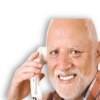 MEMES HAROLD THE PAIN 17