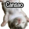 🍂 Stickers de Todo #7 🍂 14