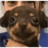 ??? 17