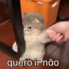 quero ir não