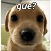 que?