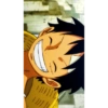 Monkey d. luffy 30