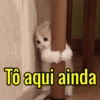 Tô aqui ainda