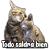 @Vick was
Todo saldrá bien