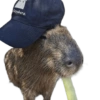 Capybara 2 11
