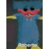 Popppy playtime  23