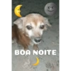 BOA NOITE