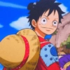 Monkey d. luffy 24