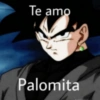 Te amo
Palomita