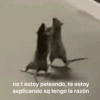 ✔️MEMESITOS QUE NECESITAS 2 🤭 12