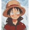 Monkey d. luffy 17