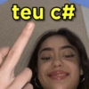 teu c#