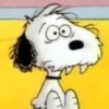 Snoopy🐕🌼🪄 28