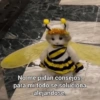 💥Chat Meme Collection💎🔝 1 14
