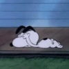 Snoopy🐕🌼🪄 22