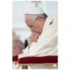 Papa Francisco🕊️ 16