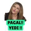 PAGAL!!
YEDI !!