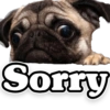 Funny PUG 14