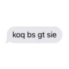 koq bs gt sie