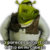 🧨Random Memes 🚩 11