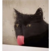 Gatos negros muy negros 5